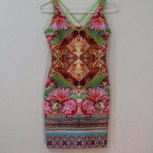 Clover Canyon Dress